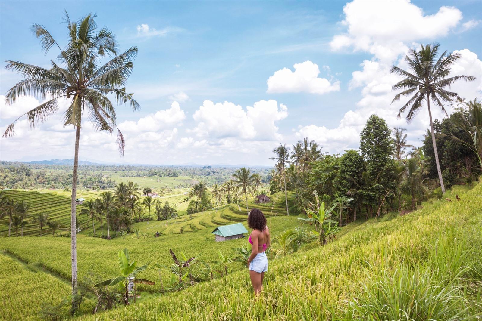 The 25 most beautiful highlights of Bali: Tips & free travel guide